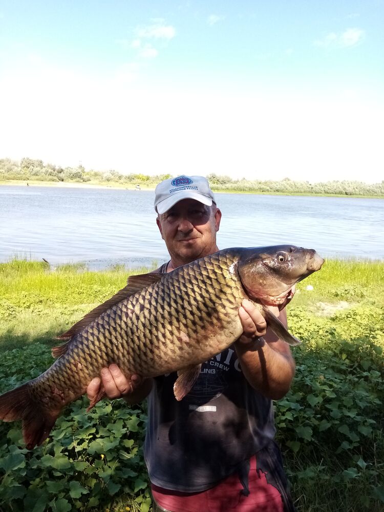 ���������� ���������, ���� ������� ������, 57 ���, ������������ ��� ����� � ���������, c�������� ���������