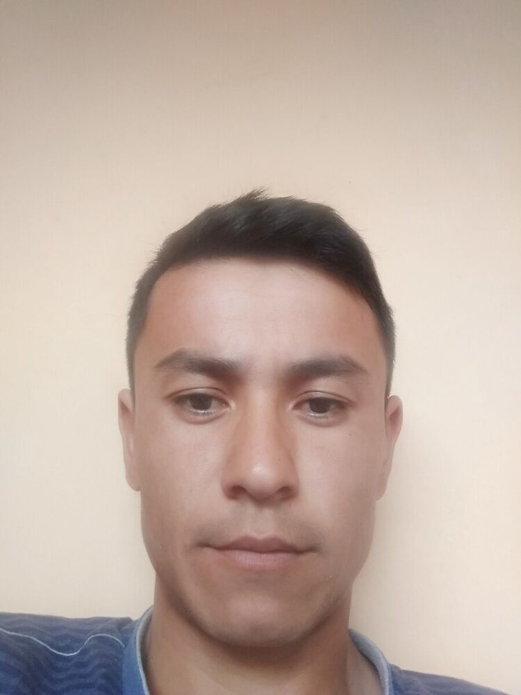  ,   Shavkatbek, 33 ,     , c 