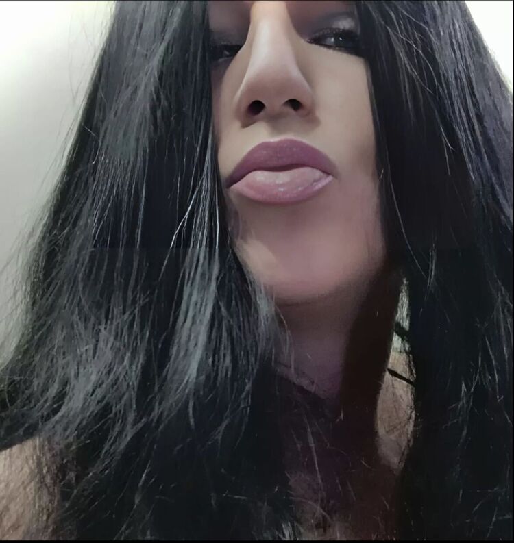  53074848  , 28 ,    