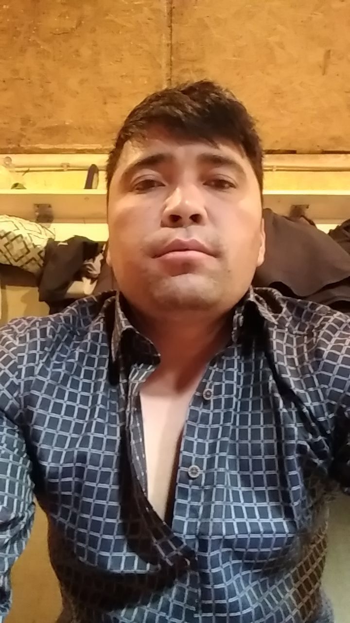  24528448  A, 33 ,    