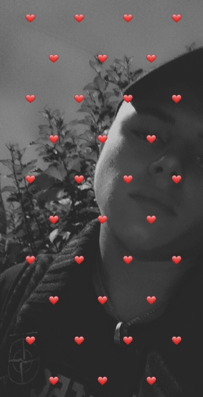 ���� 23246528 ����� ������, 22 ����, ���� ���������� � ���������