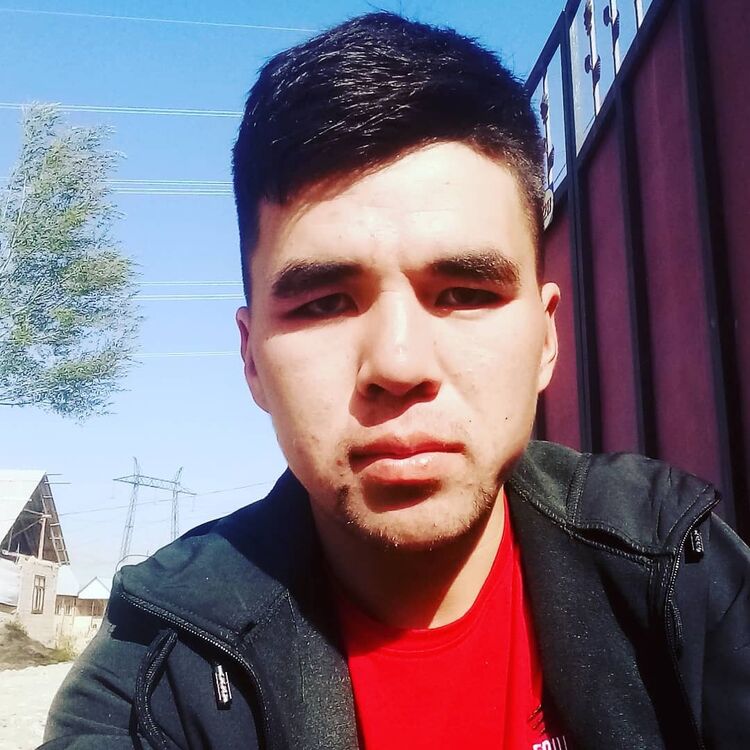 ���� 24446368 ������� �����, 26 ���, ���� ���������� � �������