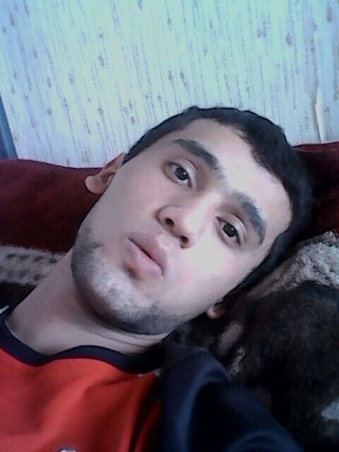  30497798  , 31 ,    