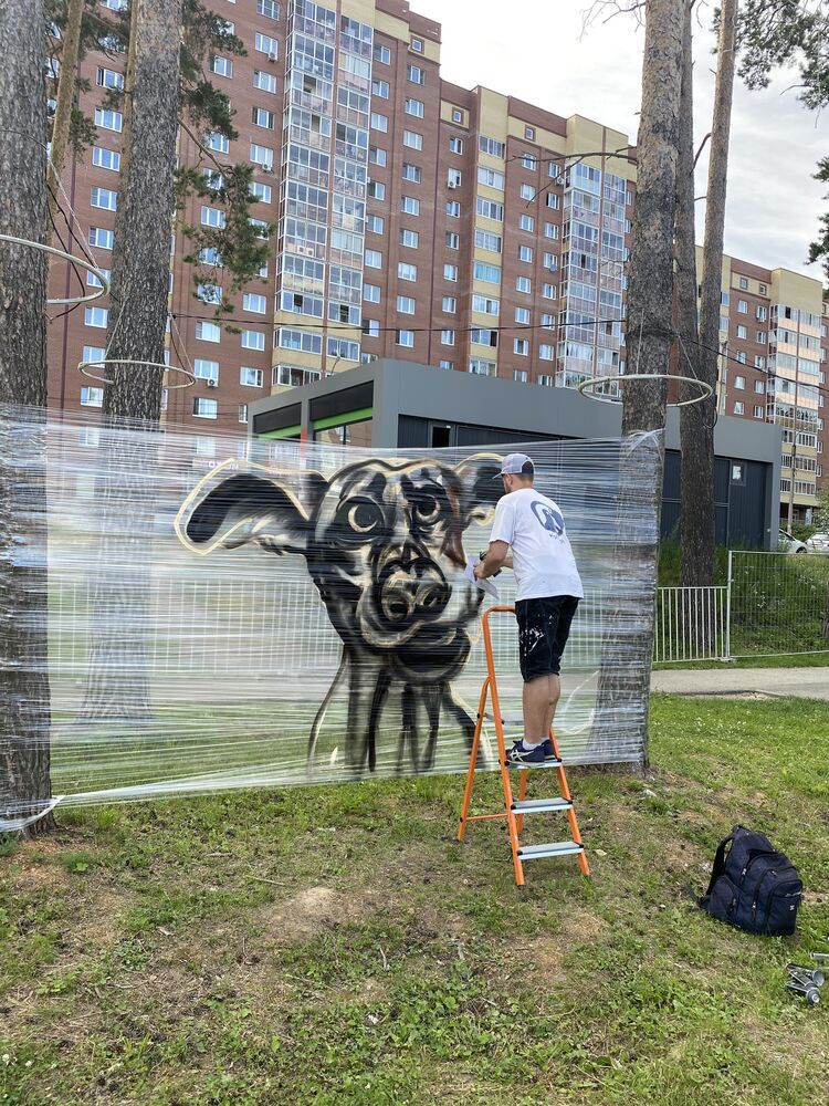 ���� 44492538 ����� ����, 25 ���, ���� ���������� � �������������