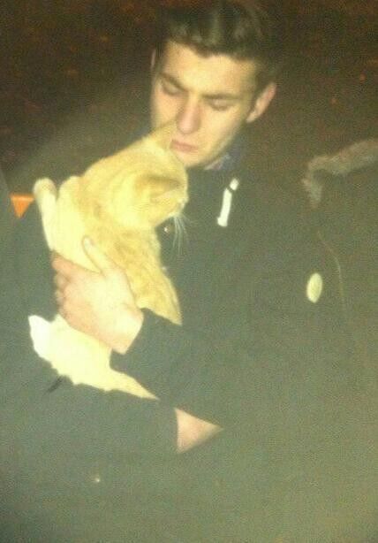 ���� 11218818 ������� ���������, 29 ���, ���� ���������� � ������