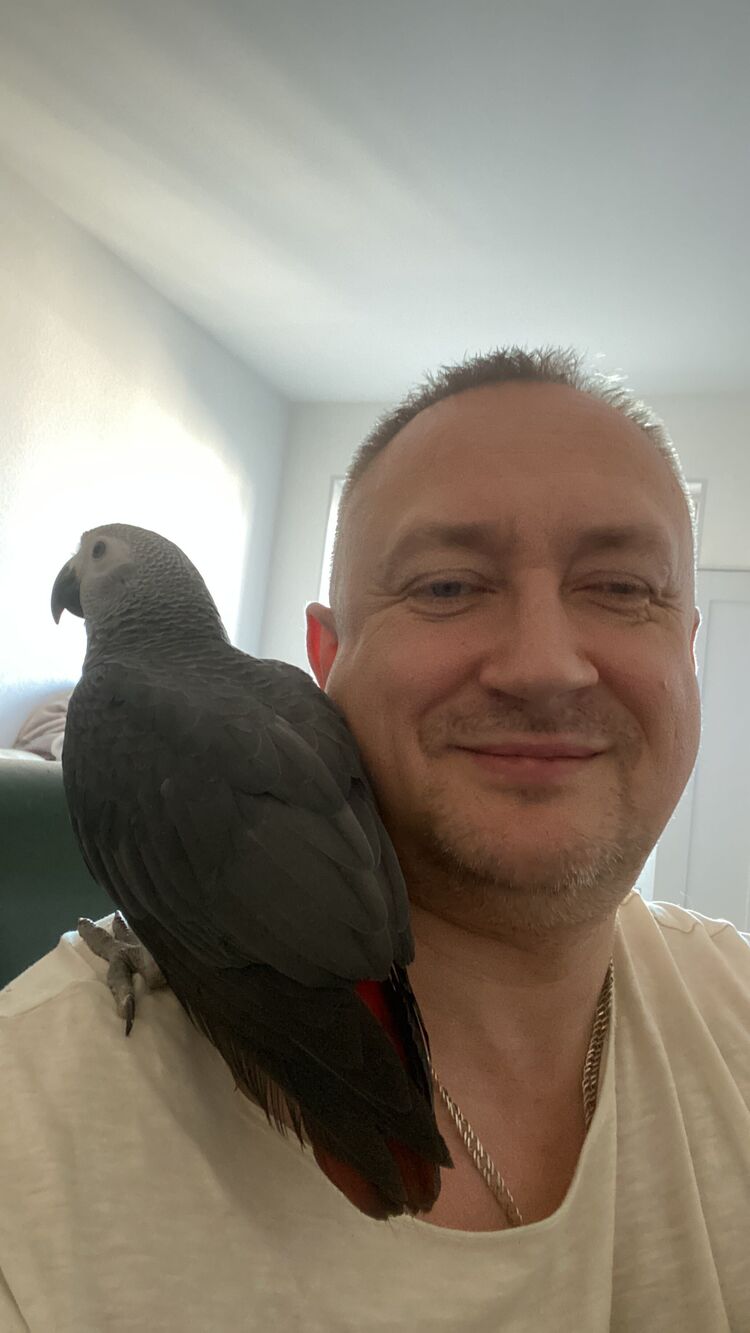 ���� 25855508 ������� �������, 50 ���, ���� ���������� � �����-����������