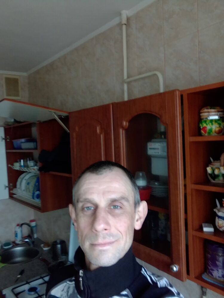  31973028  , 41 ,    