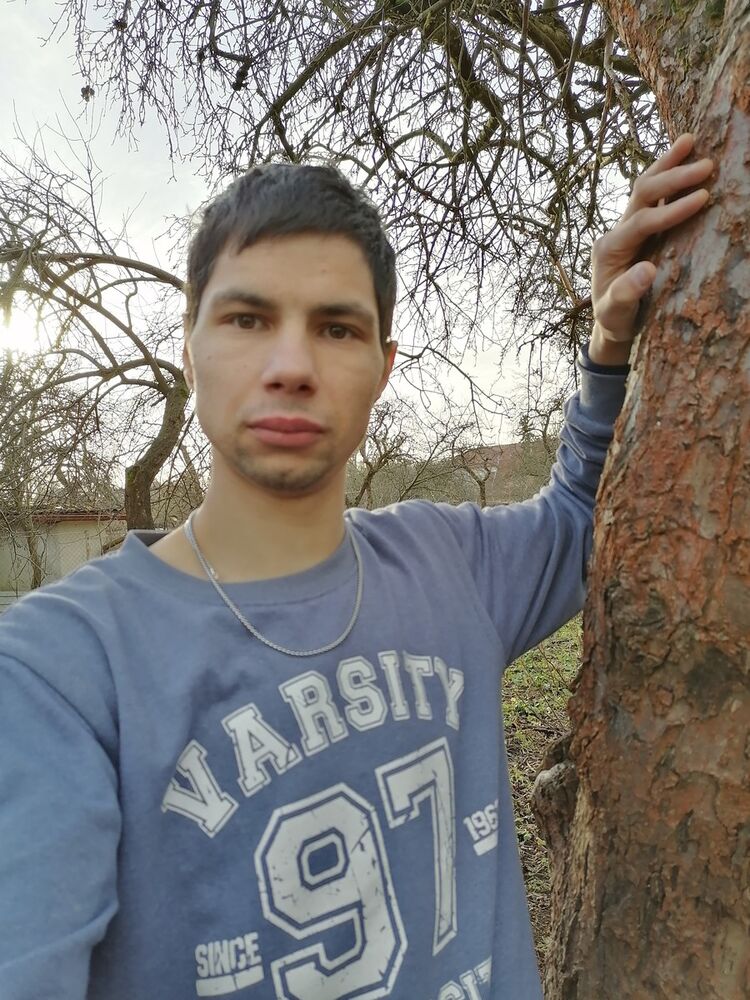 ���������� �����������, ���� ������� ��������, 38 ���, ������������ ��� ������, ����� � ���������, c�������� ���������