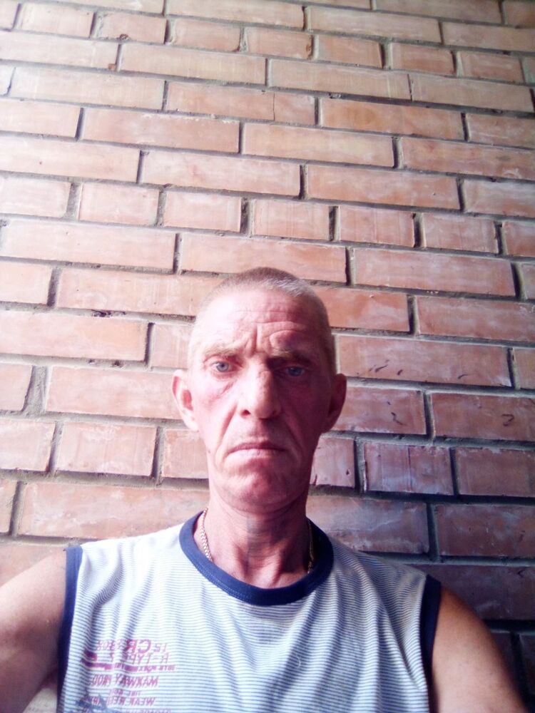  24484818  , 49 ,    