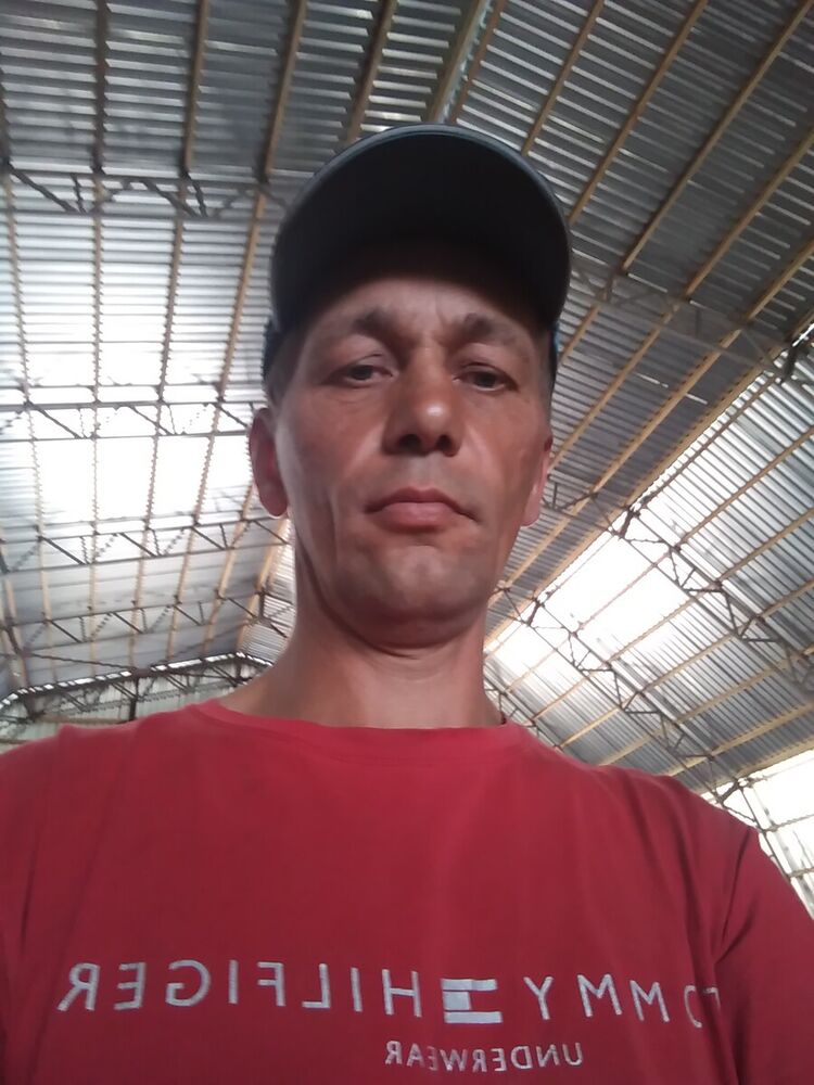  21073768  , 50 ,    