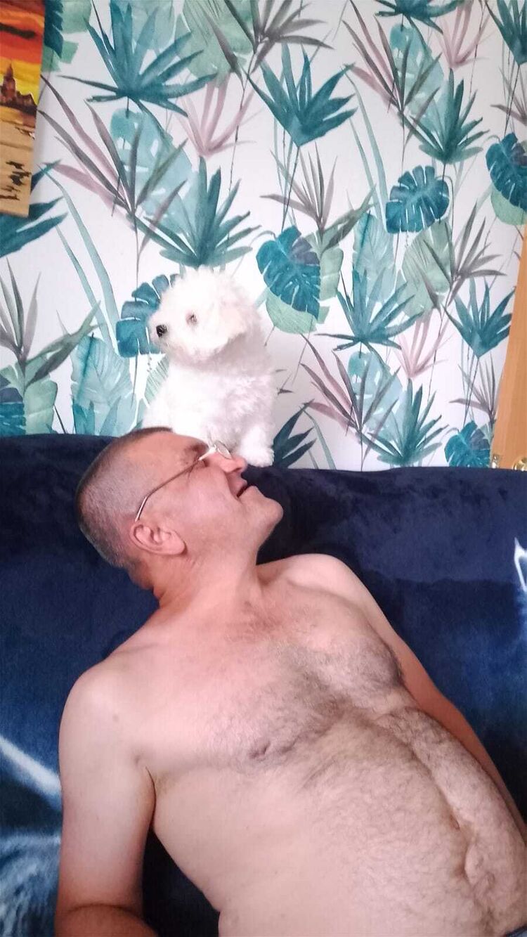  ,   , 53 ,   ,   