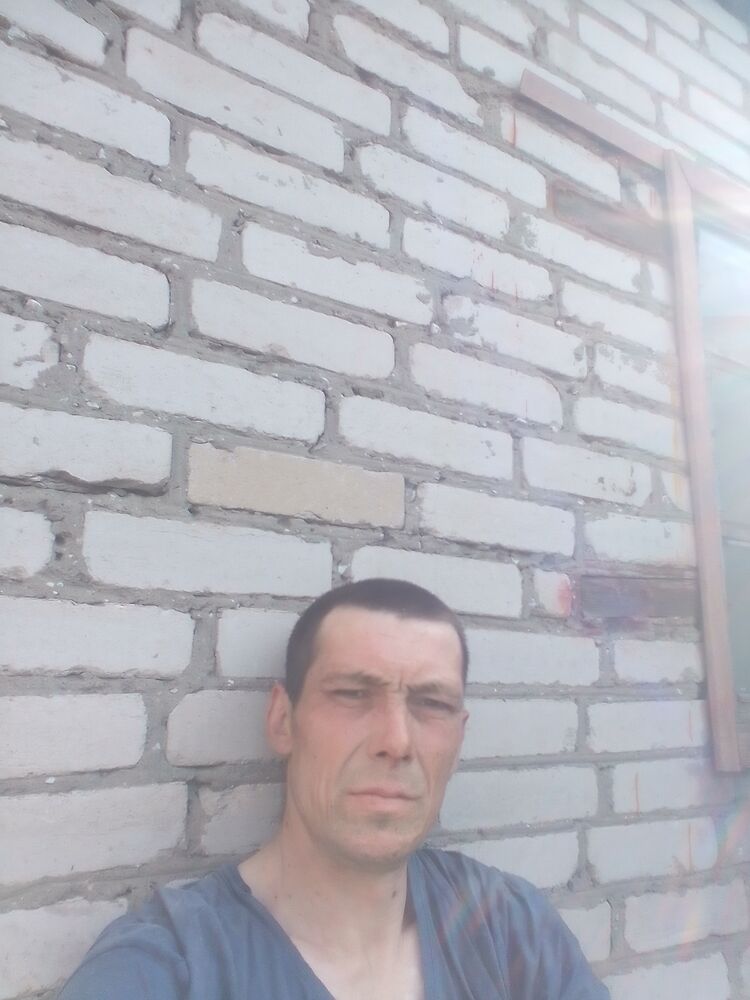  51338789  , 36 ,    