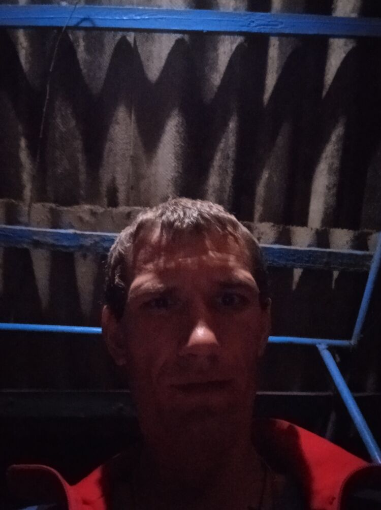  23076178  , 31 ,    