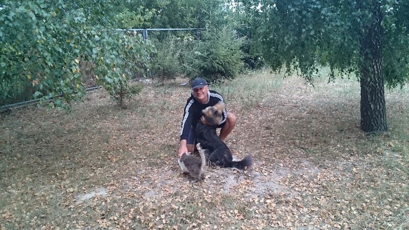 ���������� �����, ���� ������� ���������, 56 ���, ������������ ��� ������, ����� � ���������, c�������� ���������