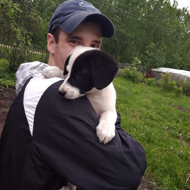 ���� 21379528 ������� ������, 30 ���, ���� ���������� � �����-����������