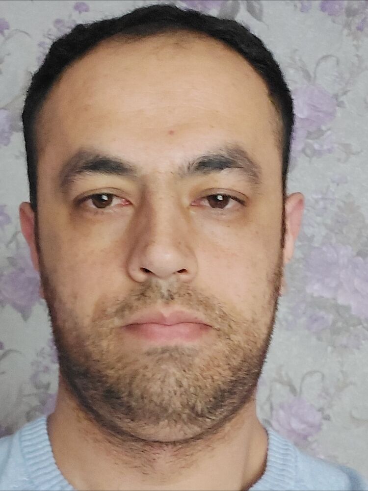  43368238  , 33 ,     