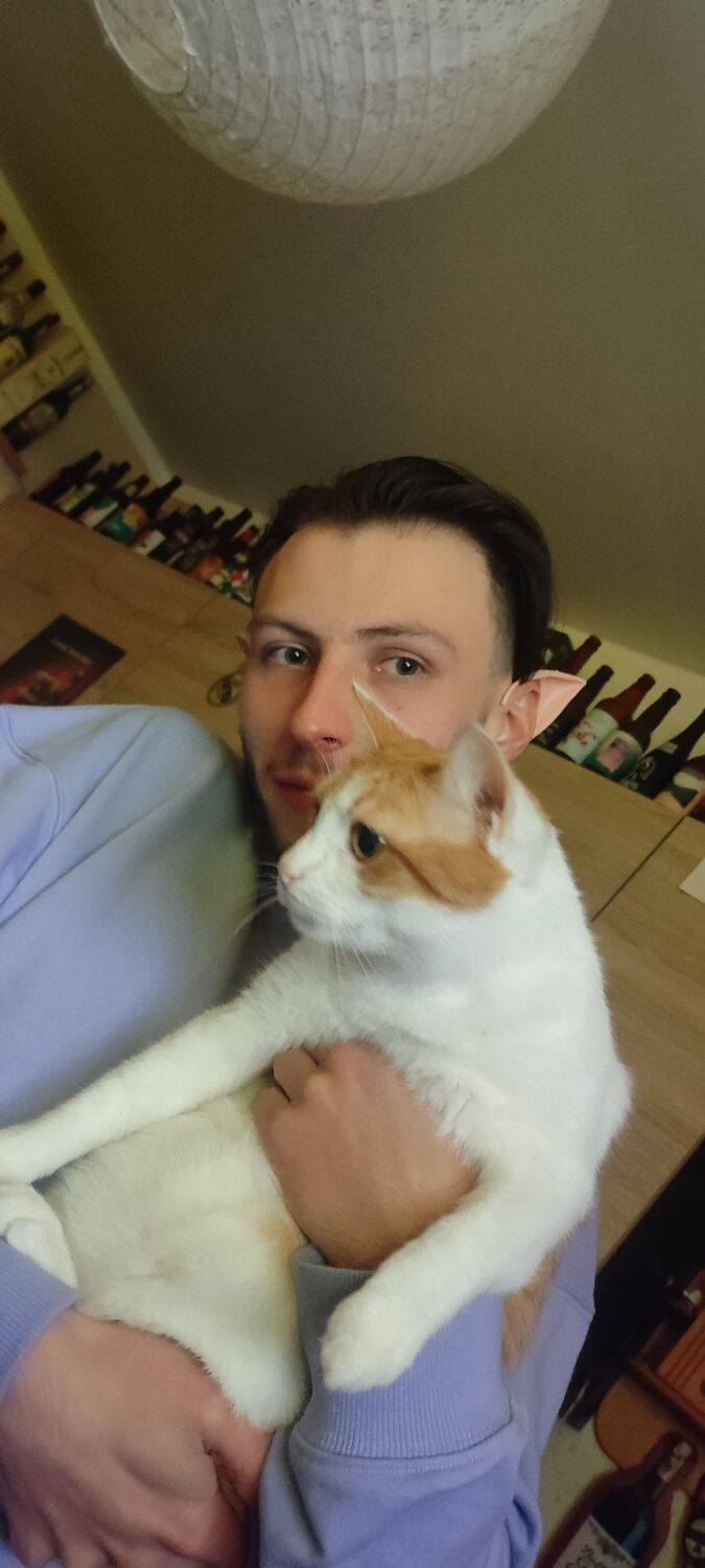 ���������� �����, ���� ������� ����, 27 ���, ������������ ��� ������, ����� � ���������