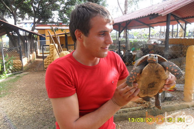  1140618  Ruslan, 40 ,    