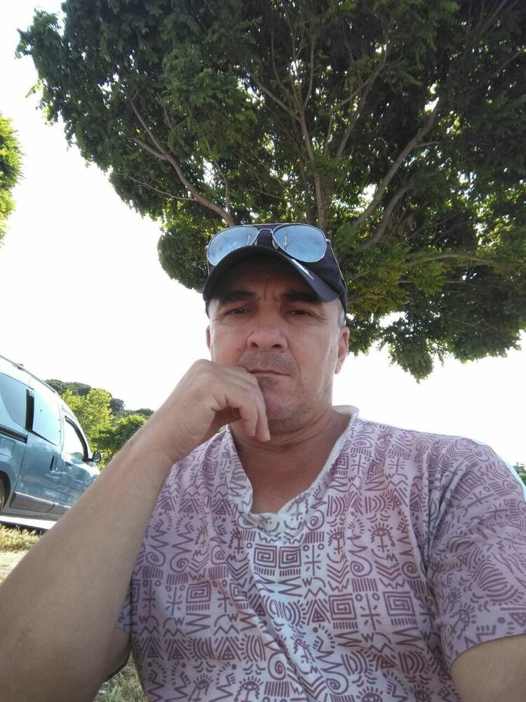  41034338  , 53 ,    
