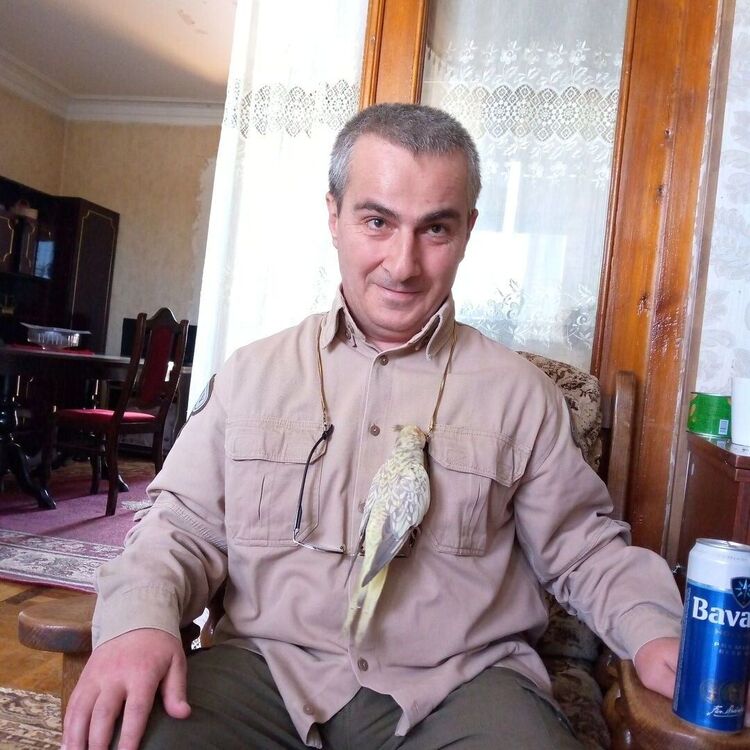 ���� 34791658 ������� Otari, 50 ���, ���� ���������� � �������