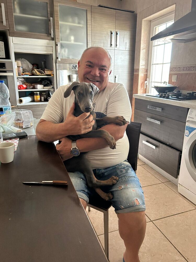 ���������� Getafe, ���� ������� �������, 50 ���, ������������ ��� ����� � ���������, c�������� ���������