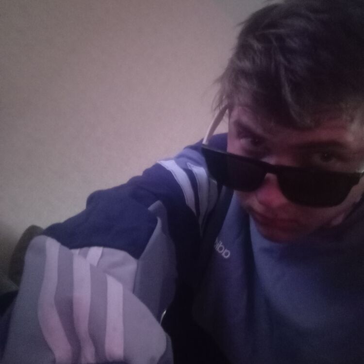 ���� 31668968 ����� �����, 23 ����, ���� ���������� � ���������