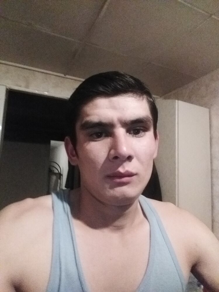 ���� 25031378 ������� ���������, 28 ���, ���� ���������� � ������