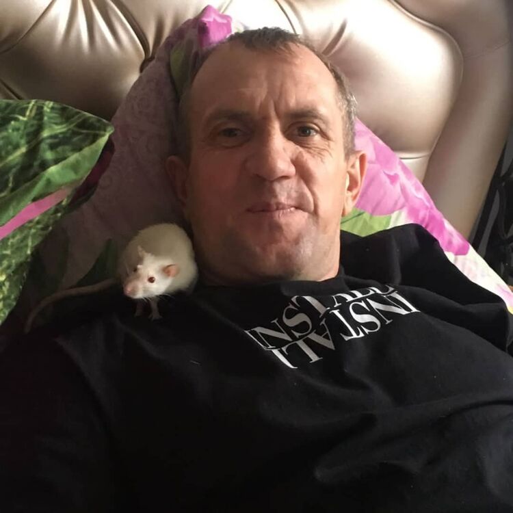 ���������� ���������, ���� ������� ������� ����, 49 ���, ������������ ��� ������, ����� � ���������, c�������� ���������