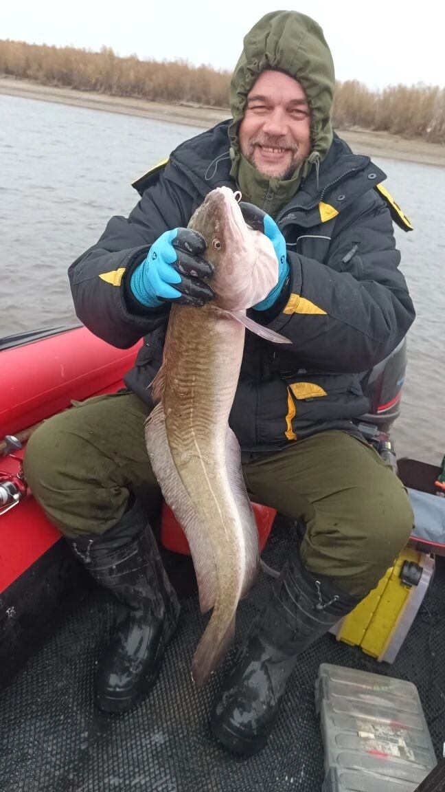 ���� 56058048 ������� ��������, 46 ���, ���� ���������� � ������ ������