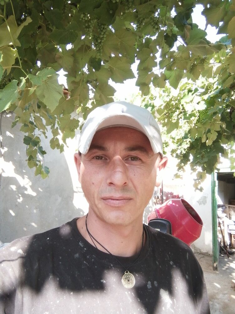  16682448  , 39 ,    