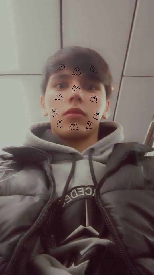 ���� 40290578 ����� ������, 24 ����, ���� ���������� � ������