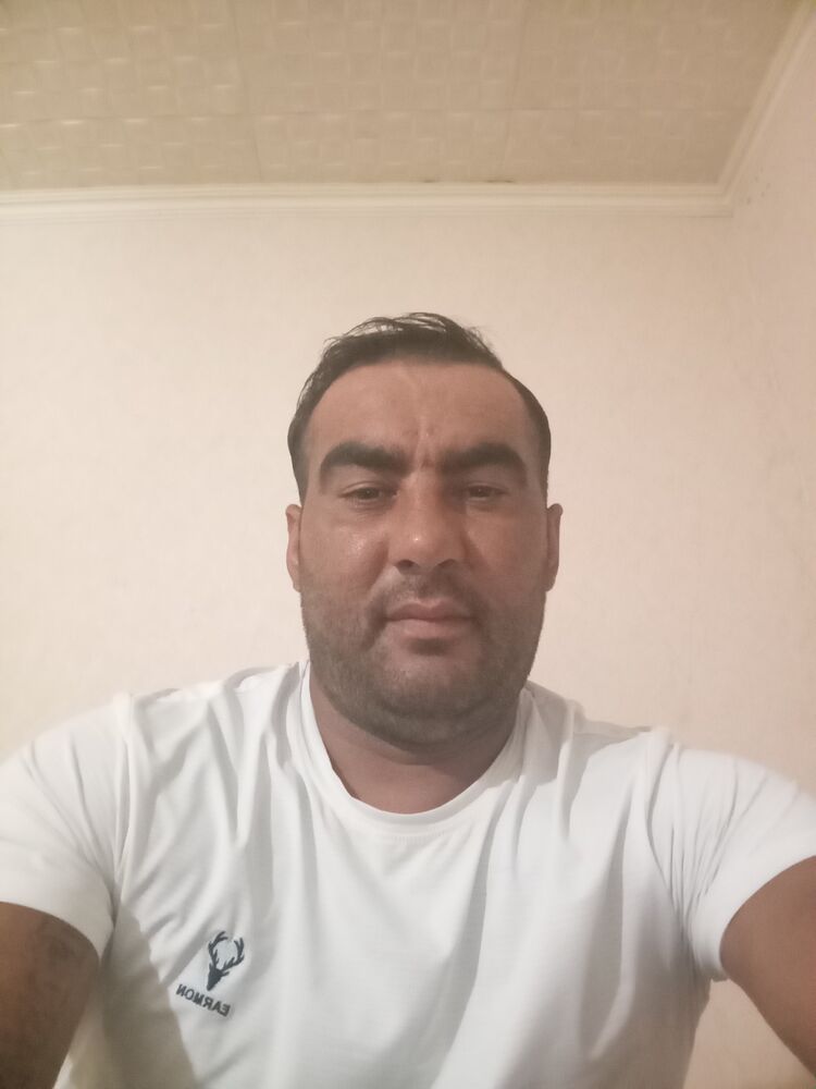  45316148  , 38 ,    