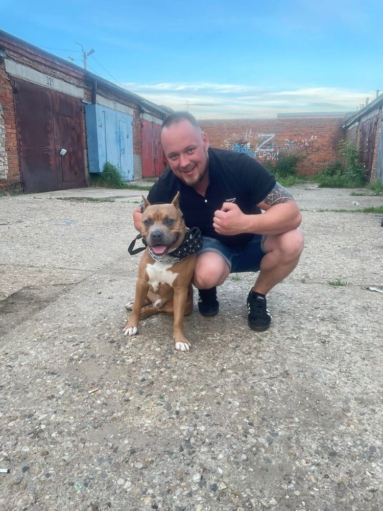 ���� 36271708 ������� ����, 36 ���, ���� ���������� � ������