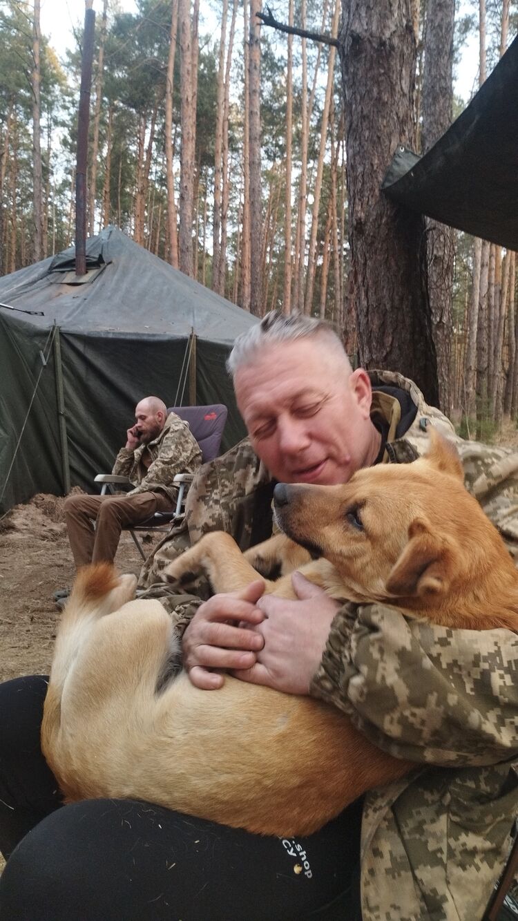 ���������� ����, ���� ������� ������, 45 ���, ������������ ��� ������, ����� � ���������