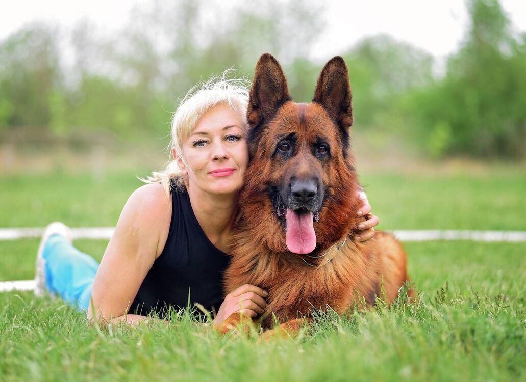 ���� 55069638 ������� �������, 48 ���, ���� ���������� � �������-��-����