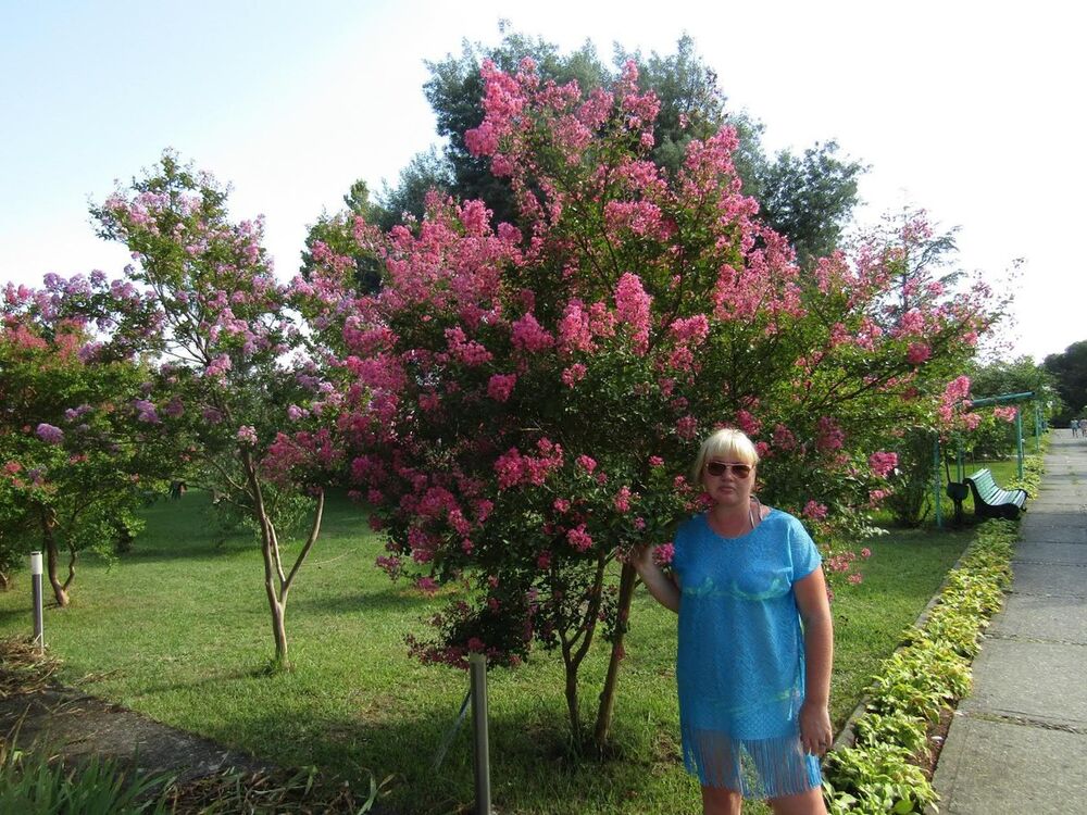 ���������� ���������, ���� ������� �����, 40 ���, ������������ ��� ������, ����� � ���������, c�������� ���������