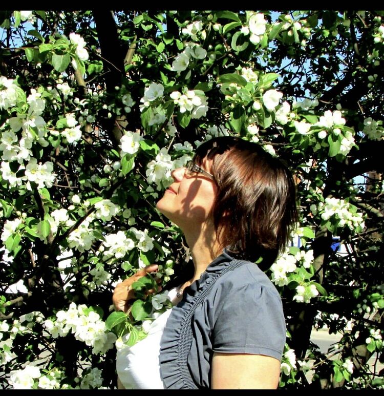 ���������� �����-���������, ���� ������� �����, 49 ���, ������������ ��� c�������� ���������