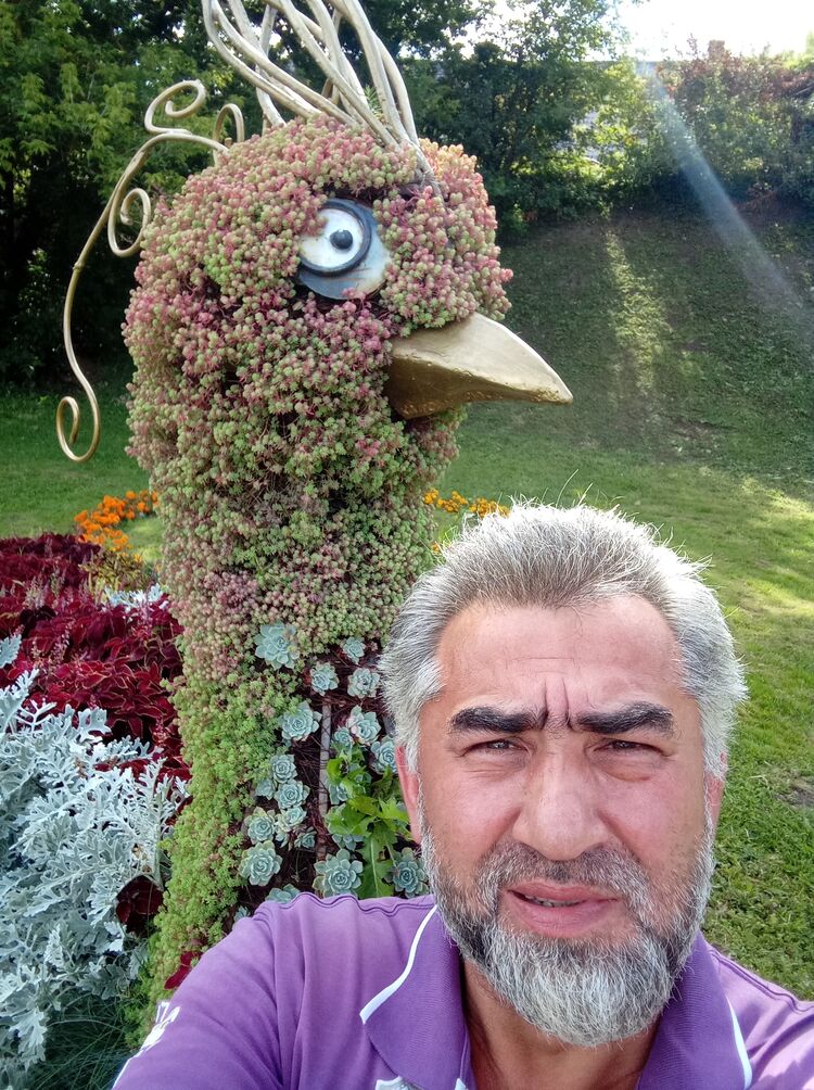  ,   , 47 ,   ,   