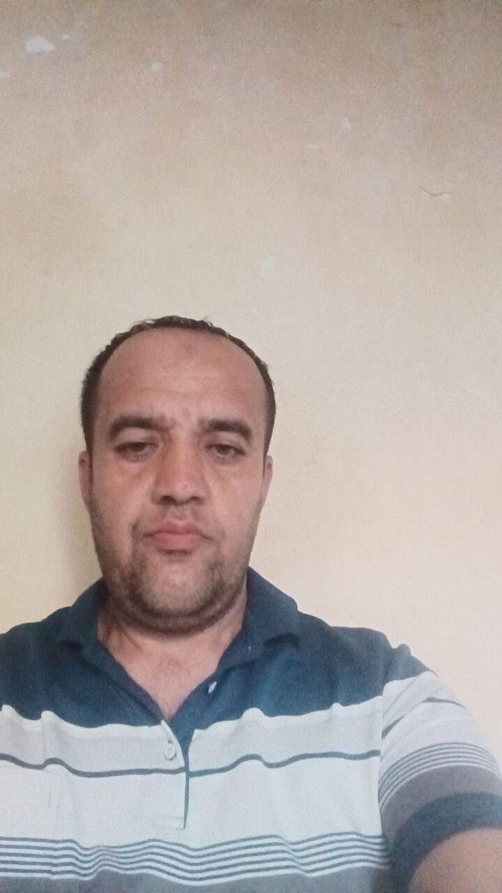  52794178  , 44 ,    