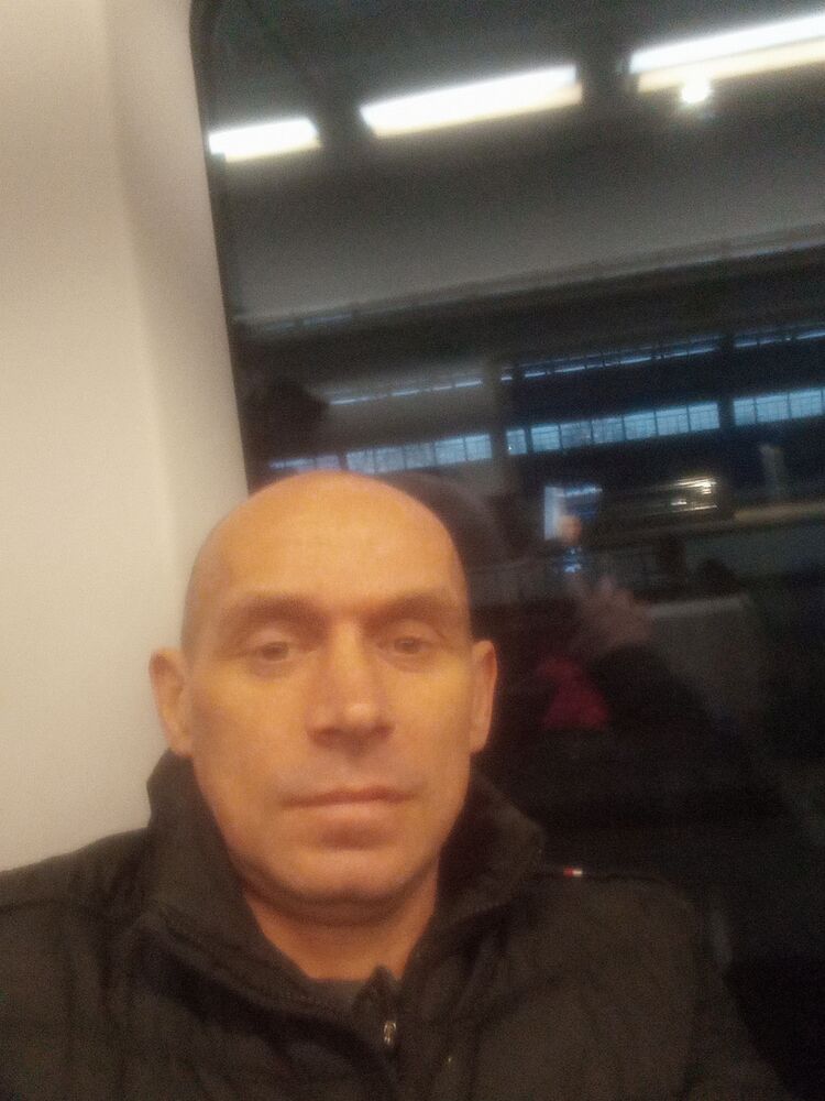  50133948  , 44 ,    