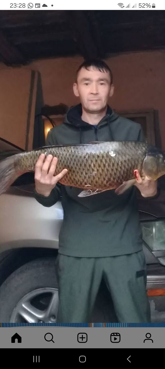  ,   , 44 ,   c 