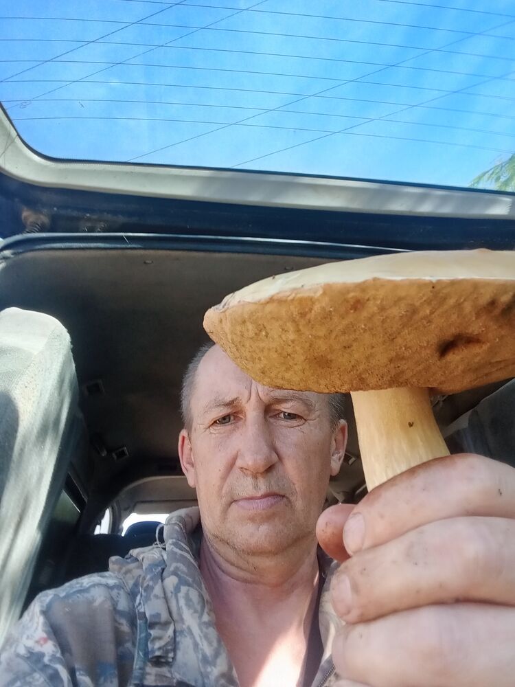 ���� 53554648 ������� ������, 53 ����, ���� ���������� � ��������� ������