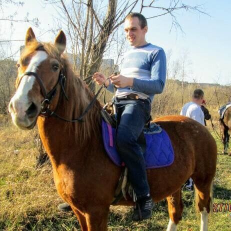 ���� 20665608 ������� �������, 46 ���, ���� ���������� � �����������