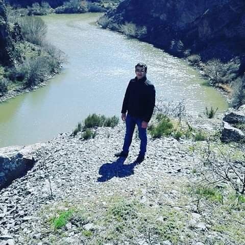 ���� 17606208 ����� Avet, 25 ���, ���� ���������� � �������