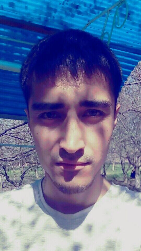 ���� 24914318 ������� ������, 31 ���, ���� ���������� � �������