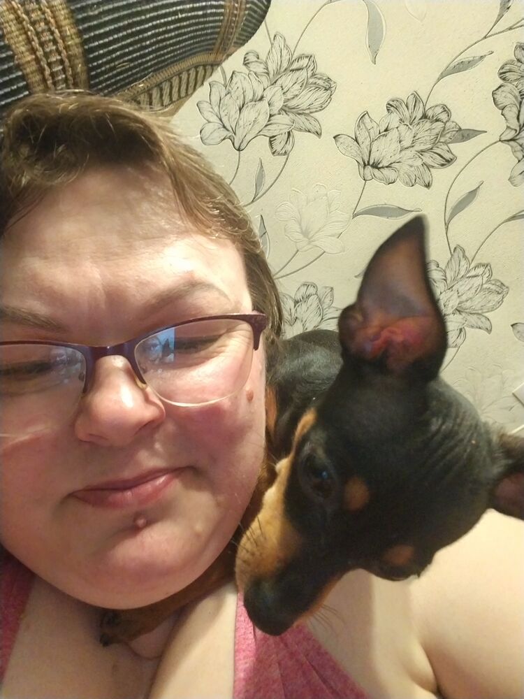 ���� 55032868 ������� ������, 44 ����, ���� ���������� � �������������