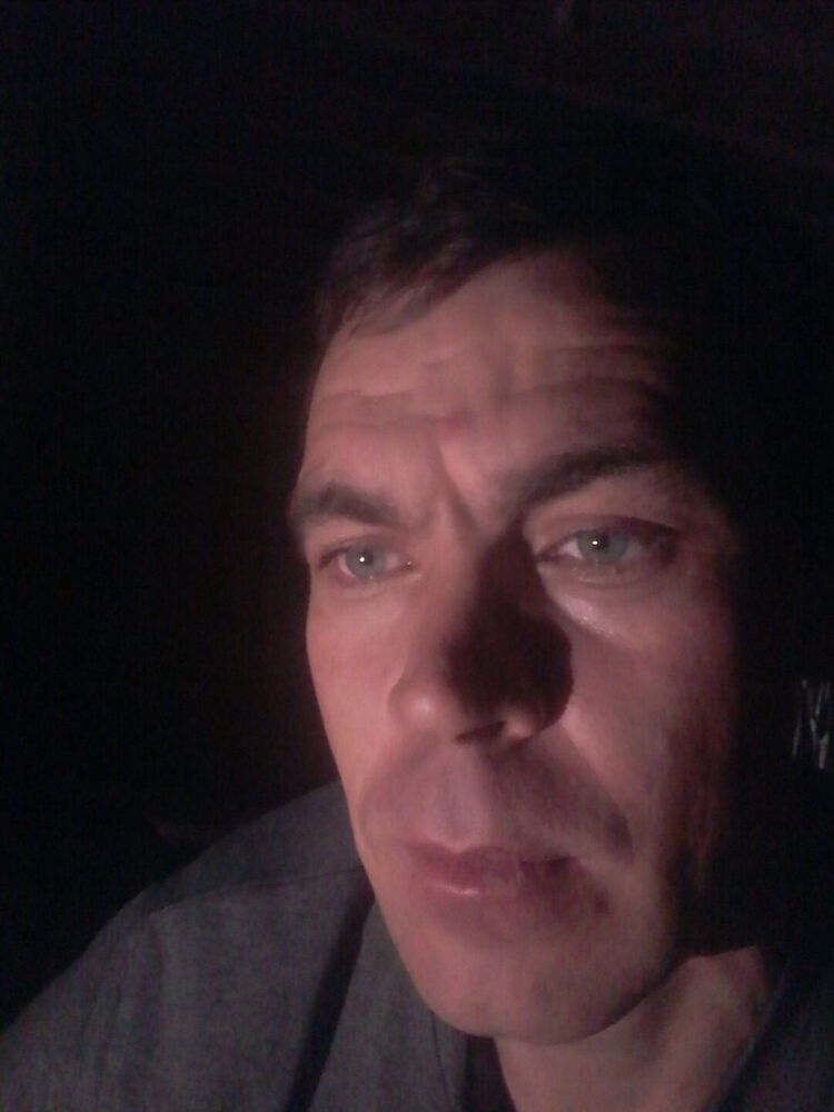 31285008  , 41 ,    