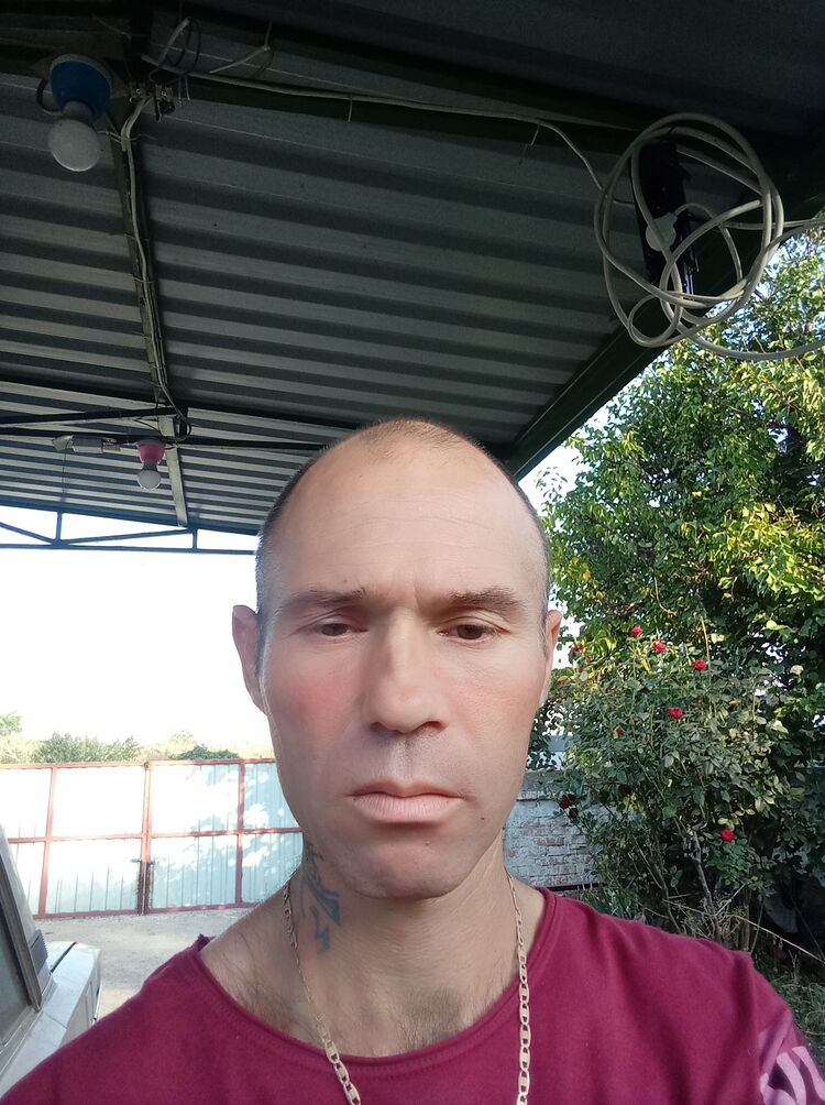  46197968  , 39 ,    