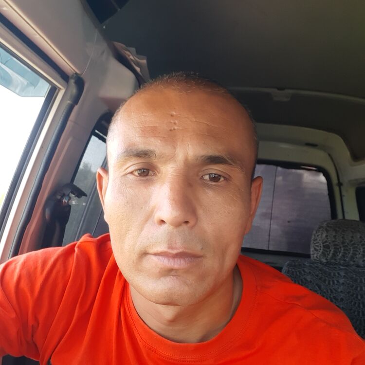  23496038  , 42 ,    