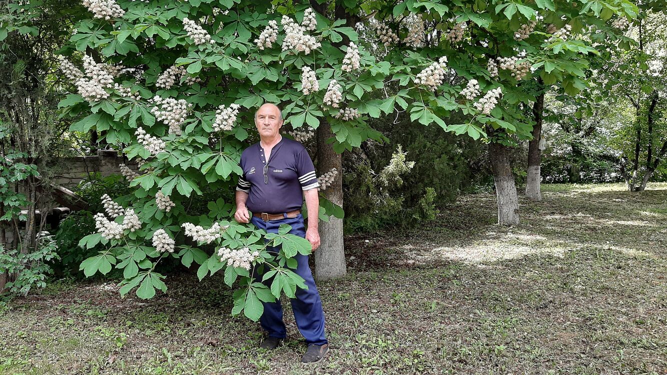 ���� 25832948 ������� ��������, 65 ���, ���� ���������� � ����������